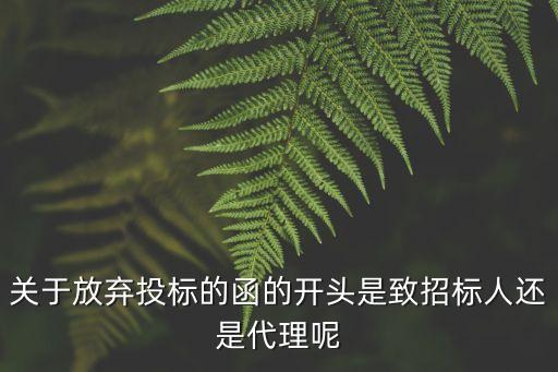 關(guān)于放棄投標(biāo)的函的開頭是致招標(biāo)人還是代理呢