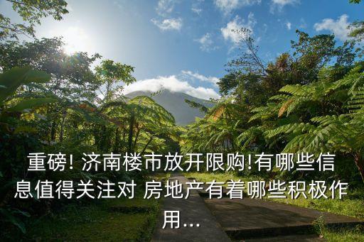 重磅! 濟(jì)南樓市放開(kāi)限購(gòu)!有哪些信息值得關(guān)注對(duì) 房地產(chǎn)有著哪些積極作用...