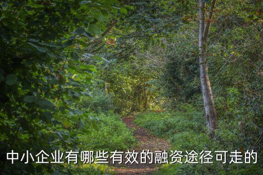 中小企業(yè)有哪些有效的融資途徑可走的