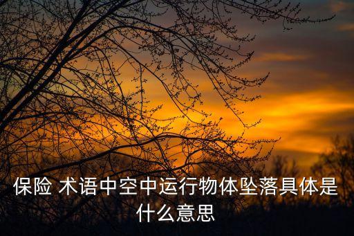 保險 術(shù)語中空中運行物體墜落具體是什么意思