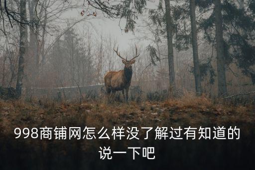 998商鋪網(wǎng)怎么樣沒了解過有知道的說一下吧