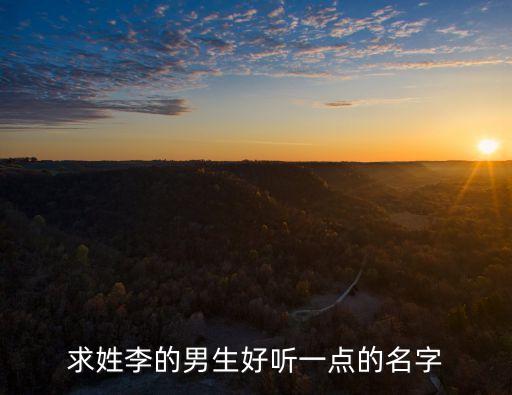 求姓李的男生好聽一點(diǎn)的名字
