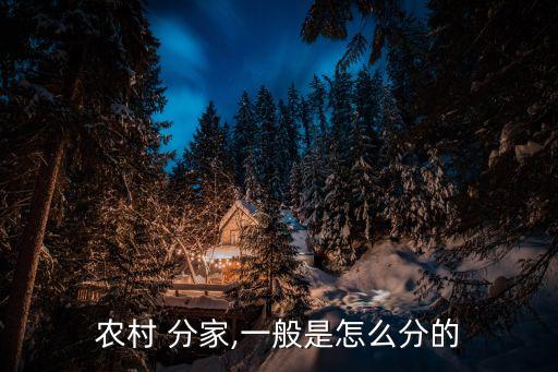 分家