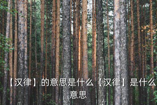 【漢律】的意思是什么【漢律】是什么意思