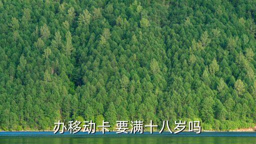 辦移動(dòng)卡 要滿十八歲嗎