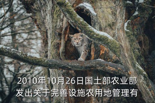 2010年10月26日國土部農(nóng)業(yè)部發(fā)出關(guān)于完善設(shè)施農(nóng)用地管理有