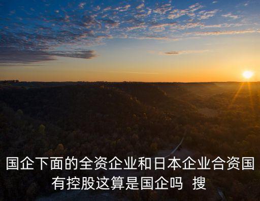 國有控股是國企嗎，改為國有企業(yè)控股的民營企業(yè)屬于國有企業(yè)