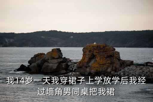 我14歲一天我穿裙子上學(xué)放學(xué)后我經(jīng)過墻角男同桌把我裙