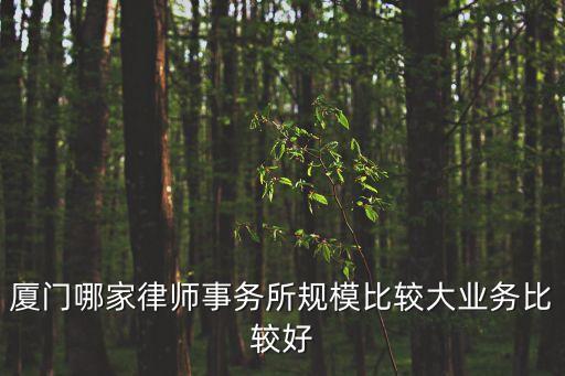 廈門(mén)哪家律師事務(wù)所規(guī)模比較大業(yè)務(wù)比較好