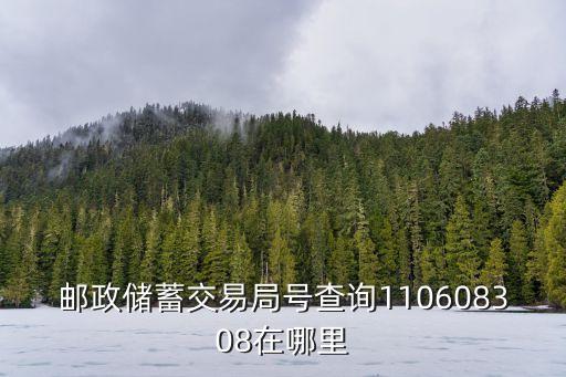 郵政儲(chǔ)蓄交易局號(hào)查詢110608308在哪里