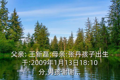 王新磊
