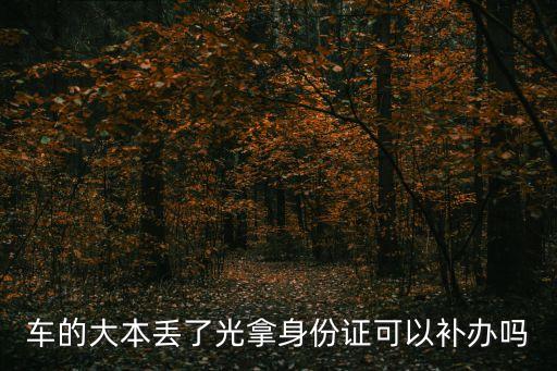 車的大本丟了光拿身份證可以補辦嗎