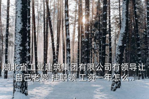 湖北省工業(yè)建筑集團有限公司有領導讓自己老婆 掛職領 工資一年怎么...