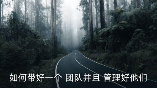 如何帶好一個 團隊并且 管理好他們