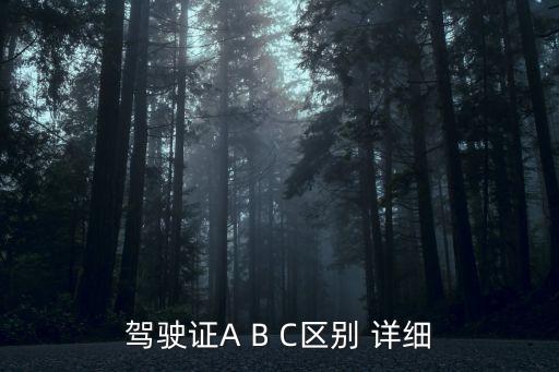 駕駛證A B C區(qū)別 詳細