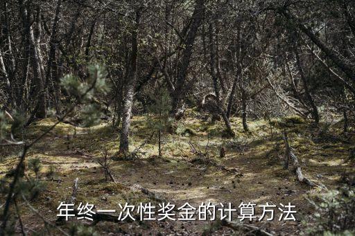 一次性獎金計算器，當月無工資怎么計算全年一次性獎金個人所得稅