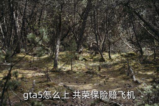 共榮保險,gta5手機通訊錄沒有共榮保險