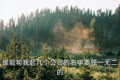 誰(shuí)能幫我起幾個(gè)公司的名字要獨(dú)一無(wú)二的