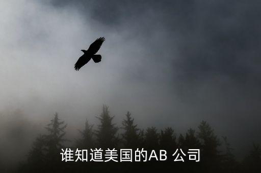 ab公司,美國ab公司