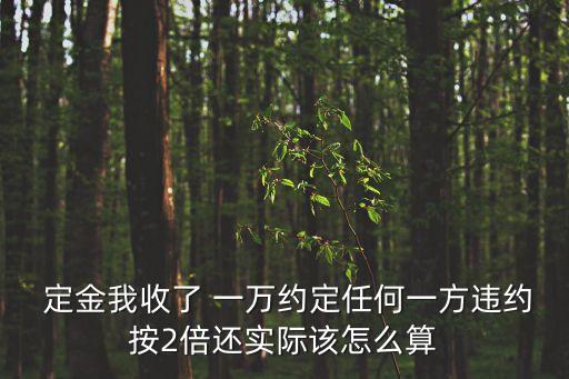  定金我收了 一萬約定任何一方違約按2倍還實際該怎么算
