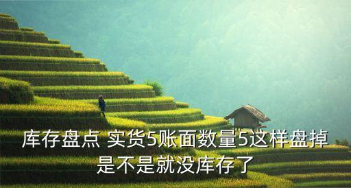 庫(kù)存盤點(diǎn) 實(shí)貨5賬面數(shù)量5這樣盤掉是不是就沒(méi)庫(kù)存了