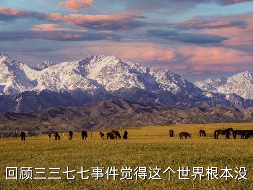 回顧三三七七事件覺得這個(gè)世界根本沒