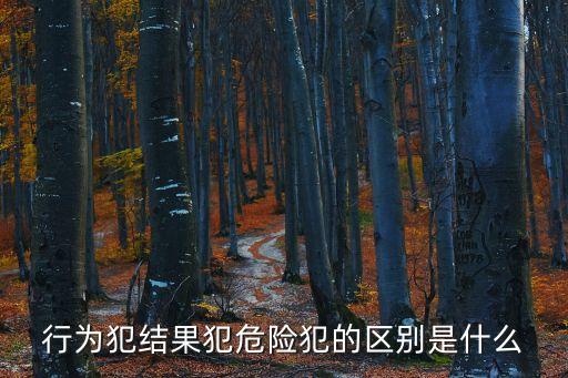 危險(xiǎn)犯，我國(guó)刑法規(guī)定的危險(xiǎn)犯都有哪些趙196
