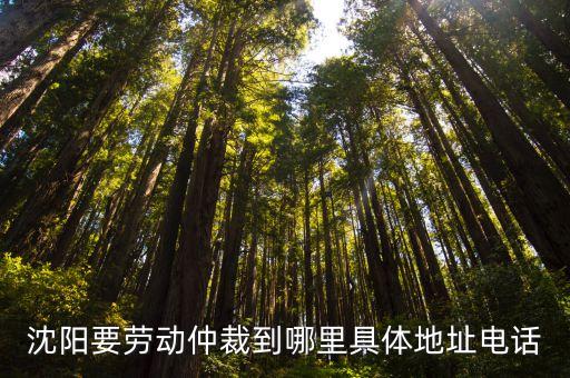 沈陽要勞動仲裁到哪里具體地址電話