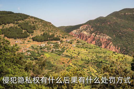 侵犯隱私權(quán)有什么后果有什么處罰方式