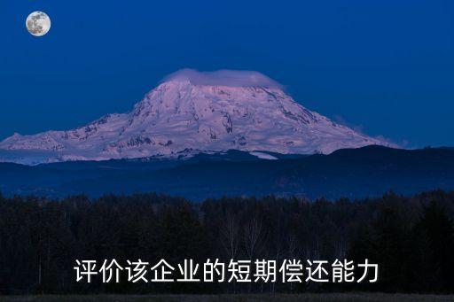 償還能力，評價該企業(yè)的短期償還能力