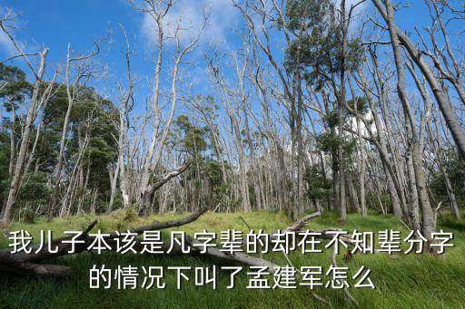 孟凡東，我兒子本該是凡字輩的卻在不知輩分字的情況下叫了孟建軍怎么