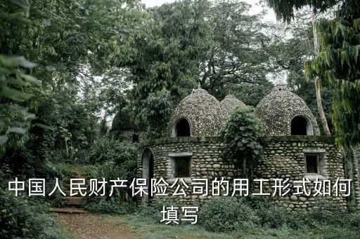中國(guó)人民財(cái)產(chǎn)保險(xiǎn)公司的用工形式如何填寫