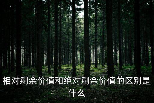 相對剩余價值和絕對剩余價值的區(qū)別是什么