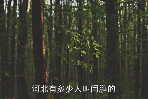 閆鵬，閆鵬這兩個(gè)字的筆畫一共多少筆