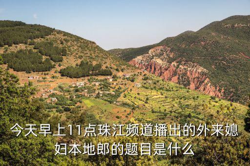 今天早上11點(diǎn)珠江頻道播出的外來媳婦本地郎的題目是什么