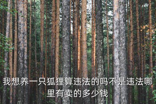 中國(guó)養(yǎng)狐貍犯法嗎，養(yǎng)狐貍違法嗎