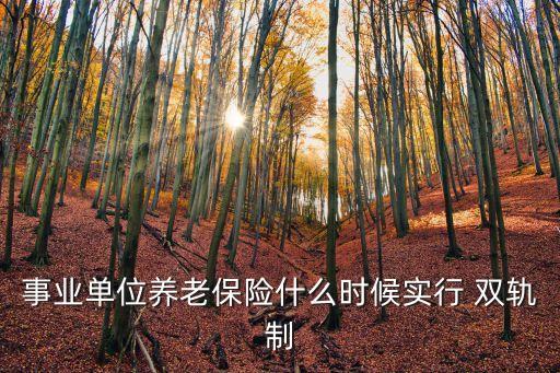 退休雙軌制
