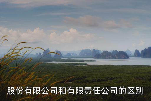 有限責(zé)任公司和股份有限公司的區(qū)別，有限責(zé)任公司和股份有限公司有什么區(qū)別