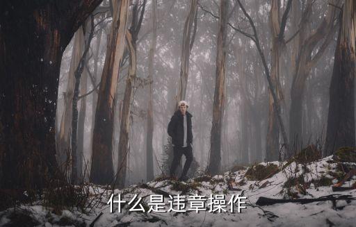 違章操作，什么是違章操作