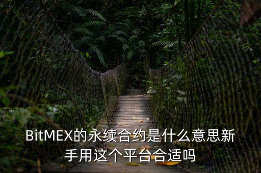 BitMEX的永續(xù)合約是什么意思新手用這個(gè)平臺(tái)合適嗎