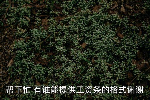 幫下忙 有誰能提供工資條的格式謝謝
