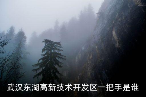 武漢東湖高新技術(shù)開發(fā)區(qū)一把手是誰
