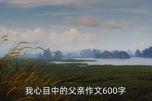 爸爸的領(lǐng)帶