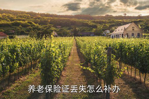 養(yǎng)老保險證丟失怎么補辦