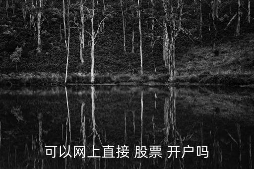 可以網(wǎng)上直接 股票 開戶嗎
