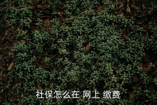 網(wǎng)上繳費
