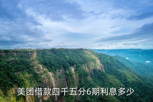 美團借款四千五分6期利息多少