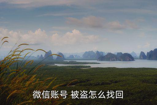 微信號(hào)被盜了怎么辦怎么找回來
