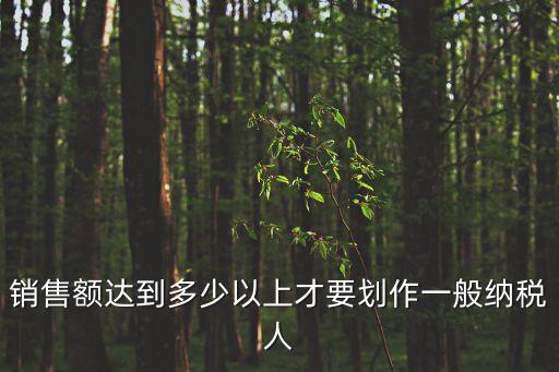 銷售額達到多少以上才要劃作一般納稅人