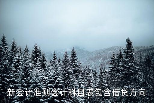 新會計準則會計科目表，最新帶公式新準則通用會計報表會計科目表資產負債表損益表利